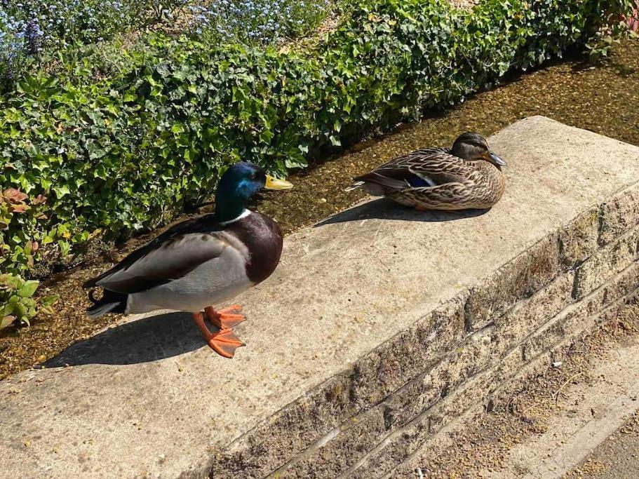 Willa Beautiful Cotswold Couples Retreat Bourton-on-the-Water Zewnętrze zdjęcie
